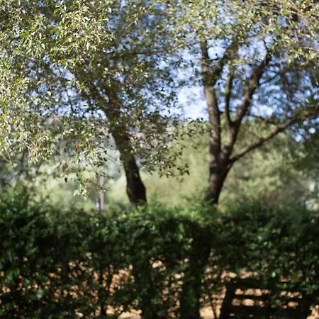 ξενωνας ι σε αγροικία Апартаменты Калаврита